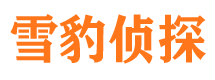 临湘寻人公司